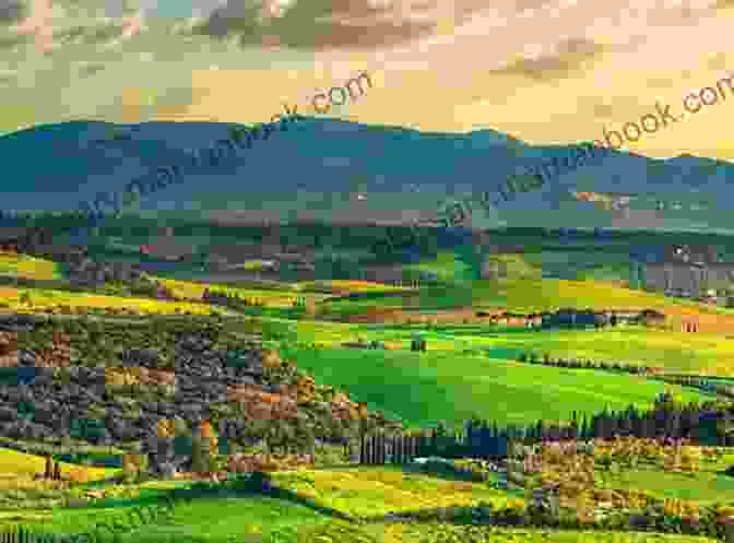 A Panoramic View Of The Land, Showcasing Its Diverse Landscapes, From Rolling Hills To Towering Mountains. Power That Preserves (The Chronicles Of Thomas Covenant The Unbeliever 3)