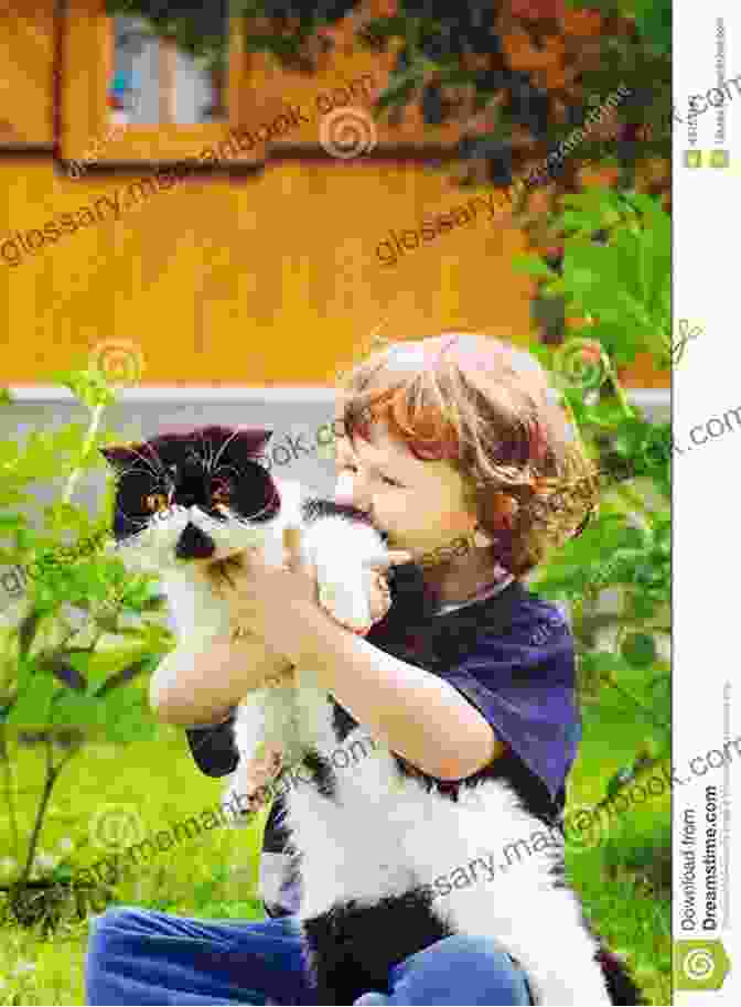 A Young Boy And His Orange Cat, Mittens, Share A Tender Moment. The Orange Cat Pallav Kalamkar