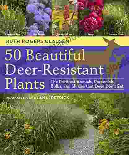 50 Beautiful Deer Resistant Plants: The Prettiest Annuals Perennials Bulbs And Shrubs That Deer Don T Eat