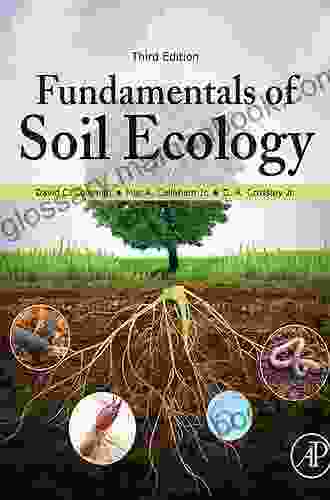 Fundamentals Of Soil Ecology David C Coleman